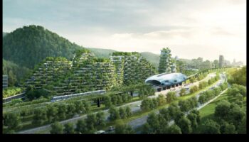 Αστική Χλωρίδα: Φυτά και λουλούδια στα πάρκα της πόλης