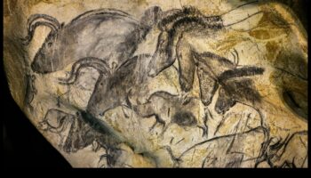 Early Etchings: Petroglyphs as Precursors to Prehistoric Art