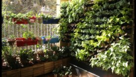 Reaching New Pinnacles: Vertical Gardening Splendors