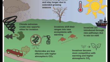 Γιατί ορισμένα τοπία είναι πιο επιρρεπή στα χωροκατακτητικά είδη ζώων;
