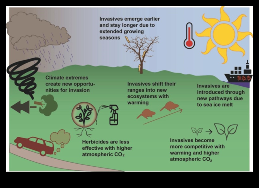 Γιατί ορισμένα τοπία είναι πιο επιρρεπή στα χωροκατακτητικά είδη ζώων;